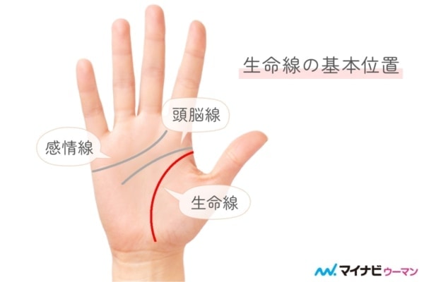 生命線とは?