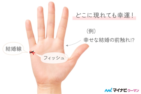 フィッシュ（魚紋）の現れる位置と意味